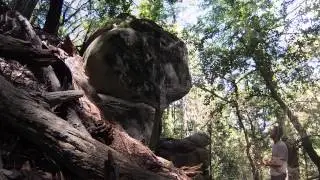 The Office Boulders