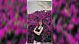 Nepali xml File🔰💫New Nepali xmlfile song 💫😊New Trending XML file😊💫Nepali song XML file alight motion