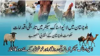Livestock Revolution in Balochistan | Modern Labs, Mobile Vet Services & Rural Economic Growth