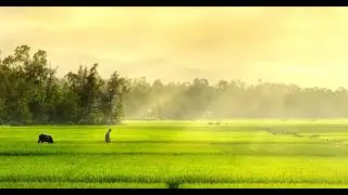 Thanh tịnh chốn thôn quê, bỏ phố về quê tập làm nông 