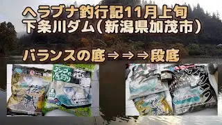 マルキュー芯華でダンゴの底、その後ヤグラで段底、ヘラブナ釣り！2022/11月上旬（第1週）晩秋っぽくなってきました！下条川ダム（新潟県加茂市）