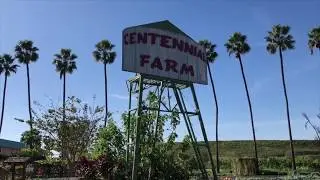 Crops at Centennial Farm