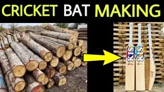 How High Quality Cricket Bats🏏 Are Made in Factory | Cricket Bat Making Process | Made in #kashmir