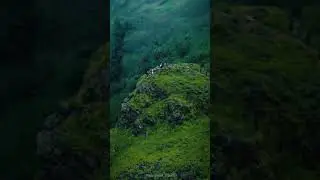 mesmerizing forest and nature whatsapp status video. western ghats