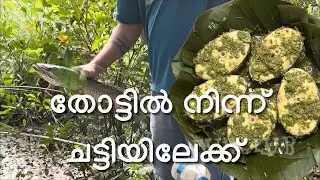 Varal Fry | Fishing | Traditional Fish Curry