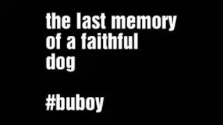 The last memory of a faithful dog buboy