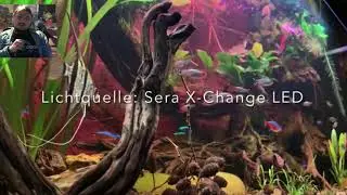 Das Salzwasseraquarium mit Korallen & das Amazonas Aquarium mit Skalaren - Eure Aquarien