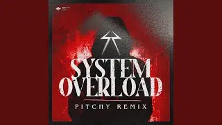 System Overload (Pitchy Remix)