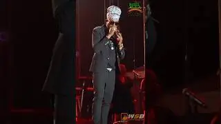 Jah Mason rebel Salute 2025