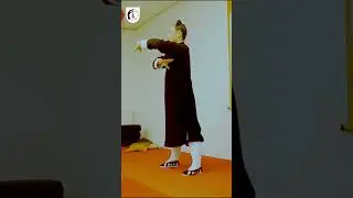 Stage de Boxe de l'aisance et de la libert&eacute; &ndash; XIAO YAO ZHANG avec QING Fengzi