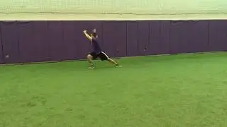 3D Lunge Matrix w/ Reach