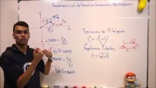 Descomposición de Fuerzas en Componentes Rectangulares | Teoría y Concepto