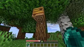 &iquest;Qu&eacute; hay dentro de la colmena de Minecraft?