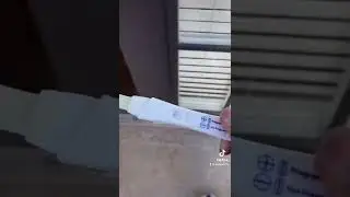 Dog pee on pregnancy test.