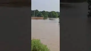 Head Muhammad Wala Flood Multan #trending #nature #viral #flood #darbarsahib  #viralupdate