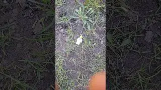 lego figure roof falling death