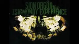Sion Orgon   I'm In Black Out (feat Peter Christopherson)