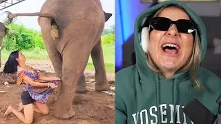 Pessoas idiotas da internet fazendo merda...