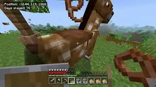 survival series - building a dark forest storage room [Minecraft bedrock v1.21.132]