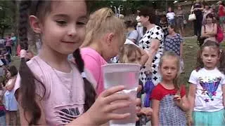 Информационный выпуск Майкопского телевидения 1.07.2019 г.