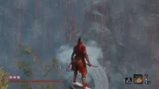 Sekiro Snake Skip