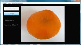 Orange Grading Software Using Deep Learning - by RSIP Vision