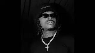 [FREE] Gunna Type Beat - 