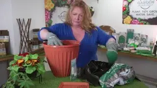 Potting a Container with Charlie Dimmock