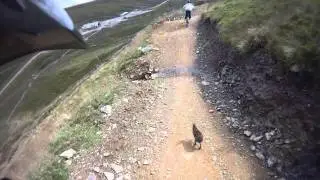 Mountain Biking in Scotland - A fast Hare on the Blue Hare Downhill - The Lecht