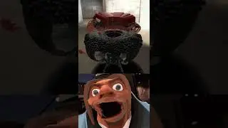 LVL 4 SENTRY