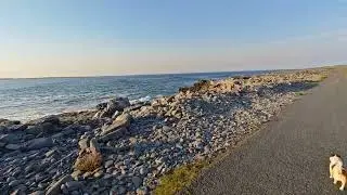 15. Мимо проходит плохая доза