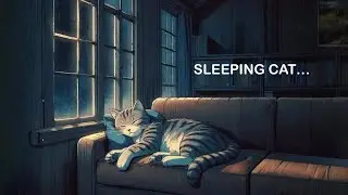 2 Hours Rain Sounds for Deep Sleep 🌧️ Insomnia Relief, Relaxing Rain || SLEEPING CAT