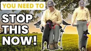 EASIEST Method to Get Your Puppy to STOP Jumping IMMEDIATELY