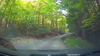 Tree almost falls on my car while driving