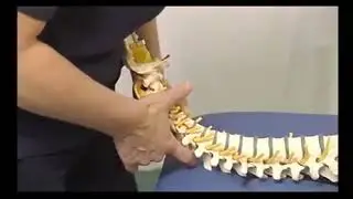 Flexion: Closing a joint (on the cervical spine).