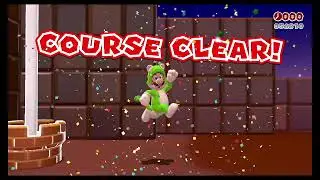 Super Mario 3D World part 21