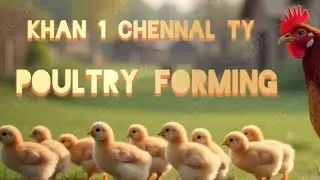 How to poultry in house /Poultry forming in house /