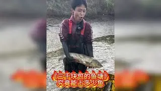 三千块包下大叔家的鱼塘，没想到里面还有…