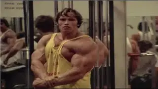 Hot Toys Phicen Custom Pumping Iron: Arnold Schwarzenegger Figure