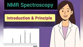 NMR Spectroscopy principle | Explanation in hindi and english