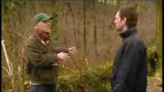 Red Squirrels in Wales - Endangered species
