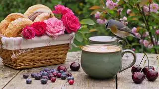 Happy Morning Jazz December Bossa Nova Instrumental and Relaxing Jazz Cafe Music for Studying.