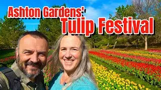 Tulip Festival in Utah! Touring Ashton Gardens & the Largest Manmade Waterfall
