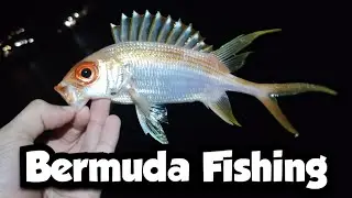 Fishing for Nocturnal Species | Bermuda Fishing 🇧🇲