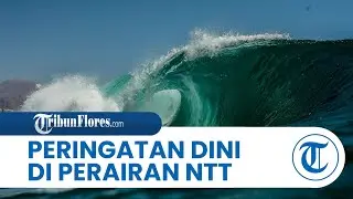 Waspada! BMKG Keluarkan Peringatan Dini Gelombang Tinggi 4 Meter di Perairan NTT Dua Hari Kedepan