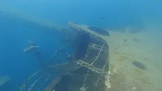 Underwater exploration of the Cedar Pride Shipwreck | Red Sea Diving near Aqaba, Jordan 2023
