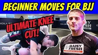 Most Effective Beginners BJJ Moves | The Knee Cut