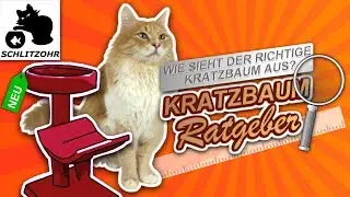 🔥Kratzbaum XXL, Kratzbaum g&uuml;nstig, Kratzbaum f&uuml;r gro&szlig;e Katzen - worauf achten? Katzenbaum Ratgeber