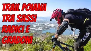 Trail Poiana tra sassi, radici e gradoni - Da cima a fondo