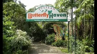 Experience Butterfly Haven Pulilan, Bulacan